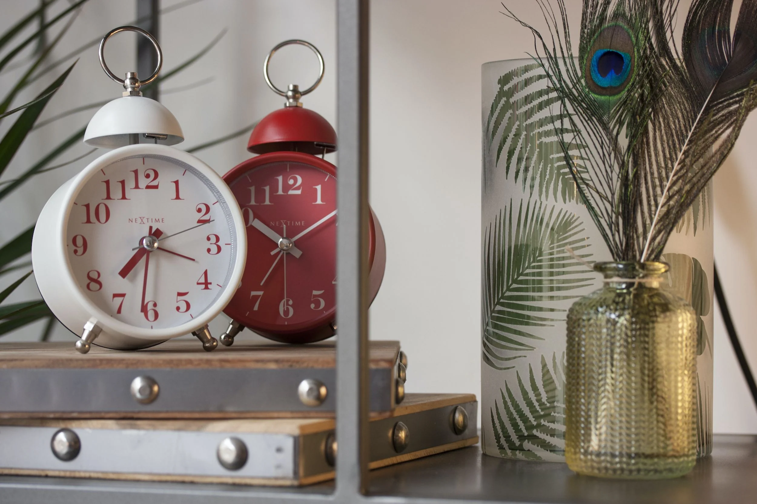 Miniatura 4