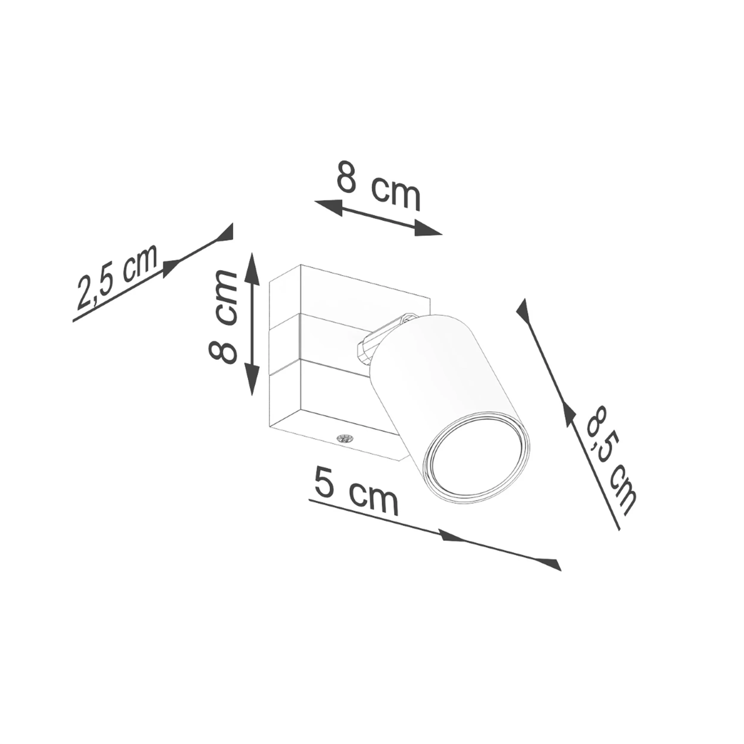 Miniatura 11