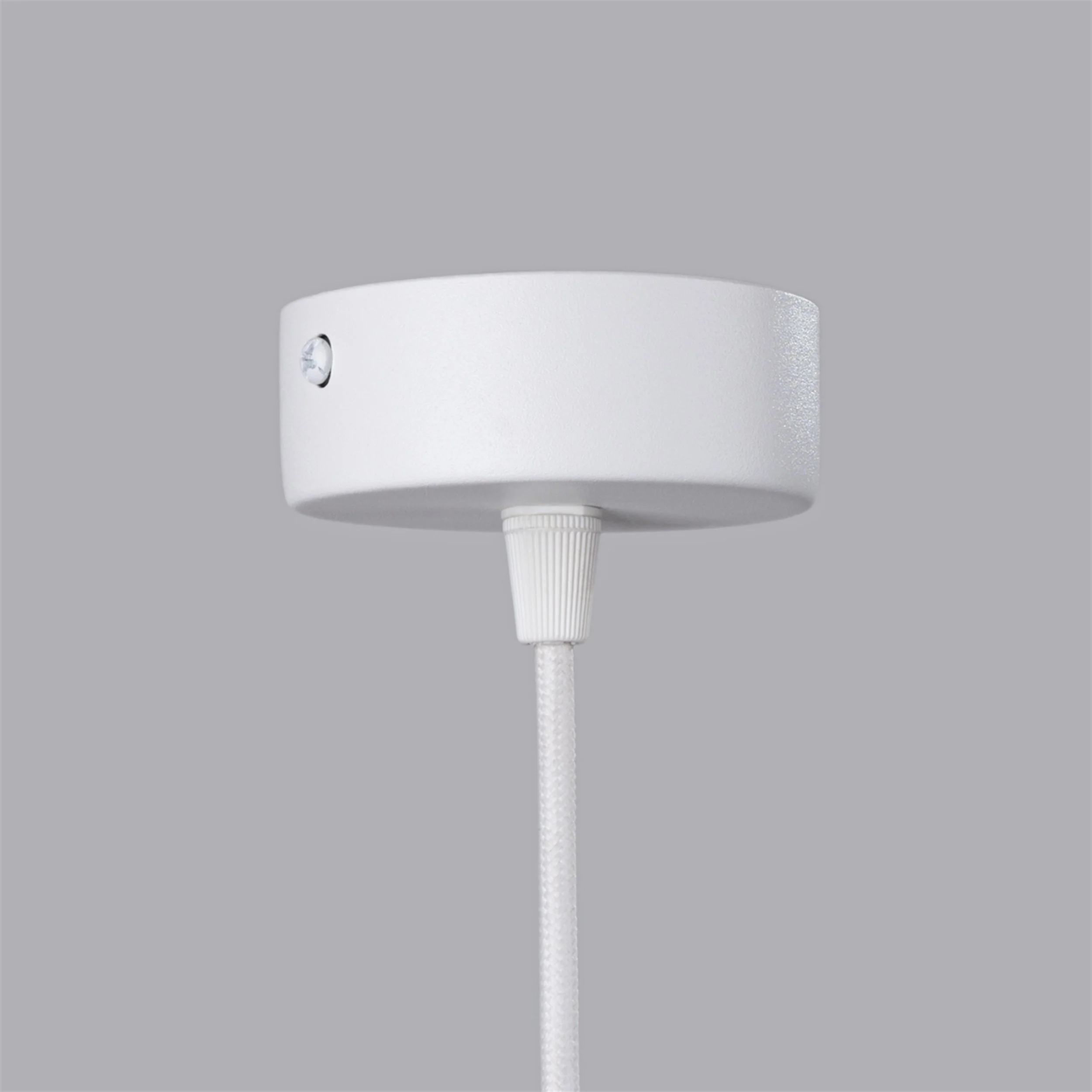 Miniatura 11