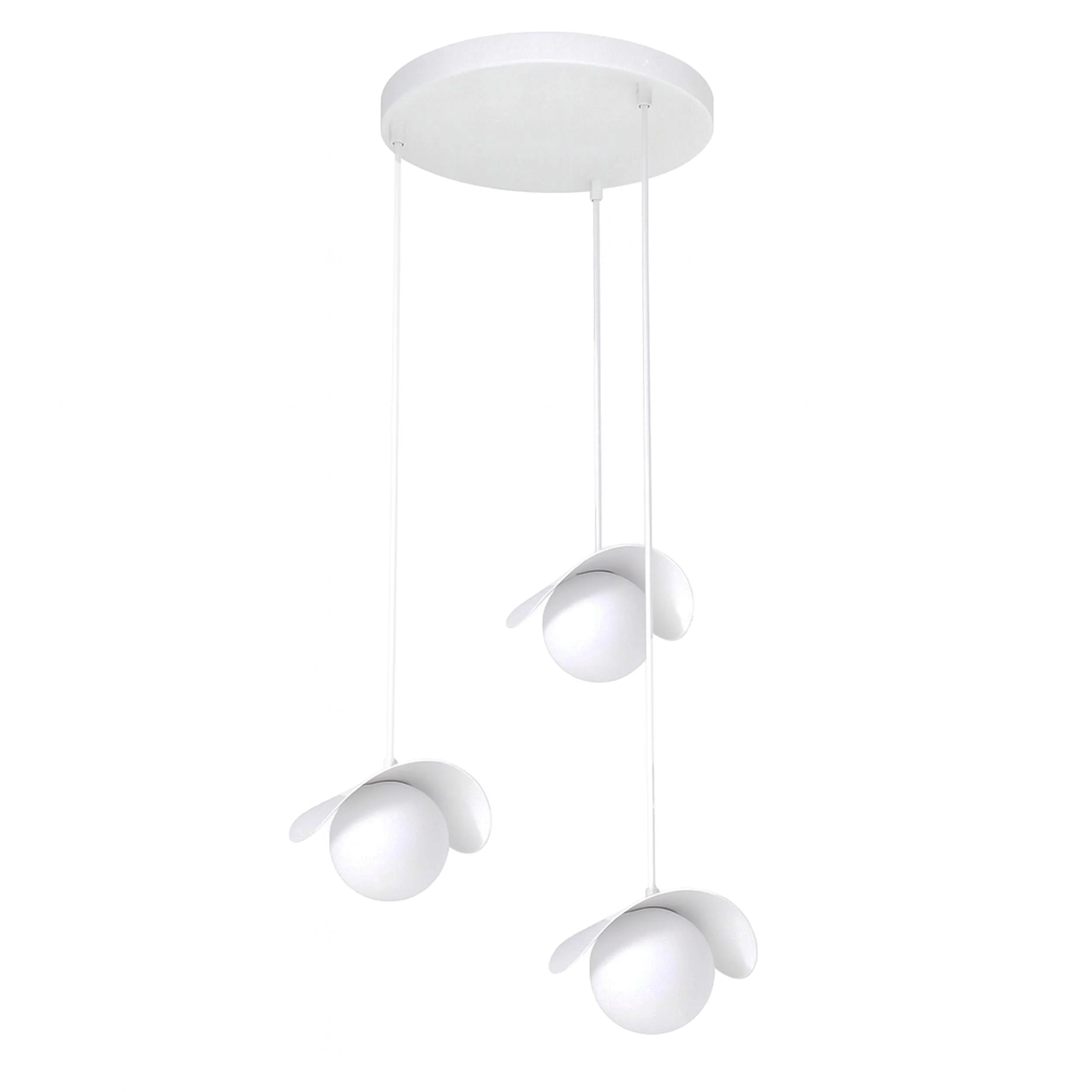 Zdjęcie produktu 1