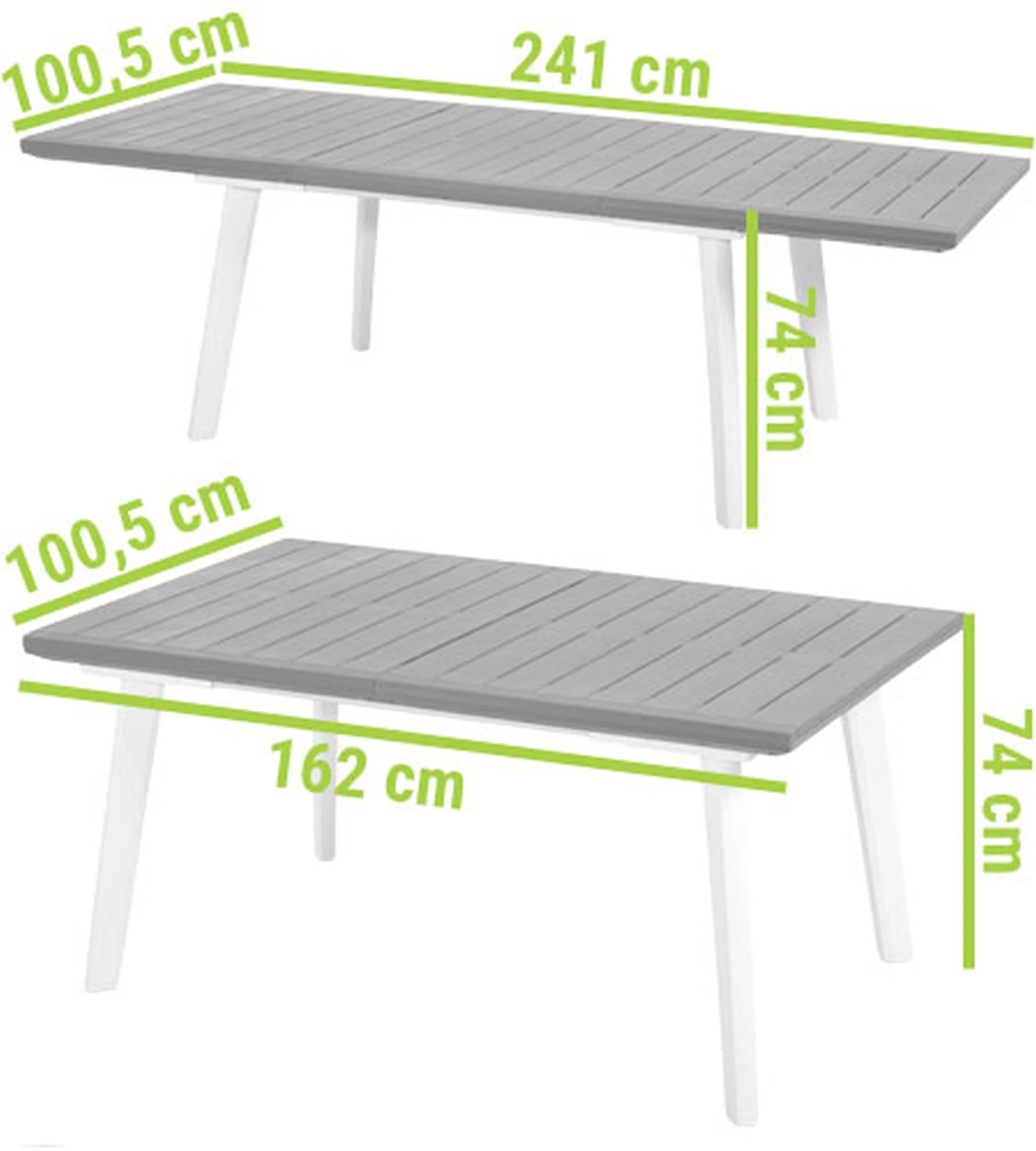 Miniatura 12